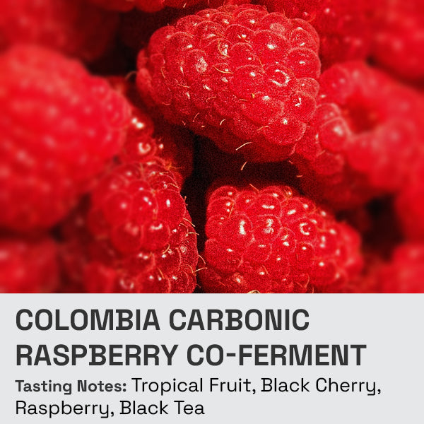 Colombia Carbonic Natural Raspberry Co-Ferment