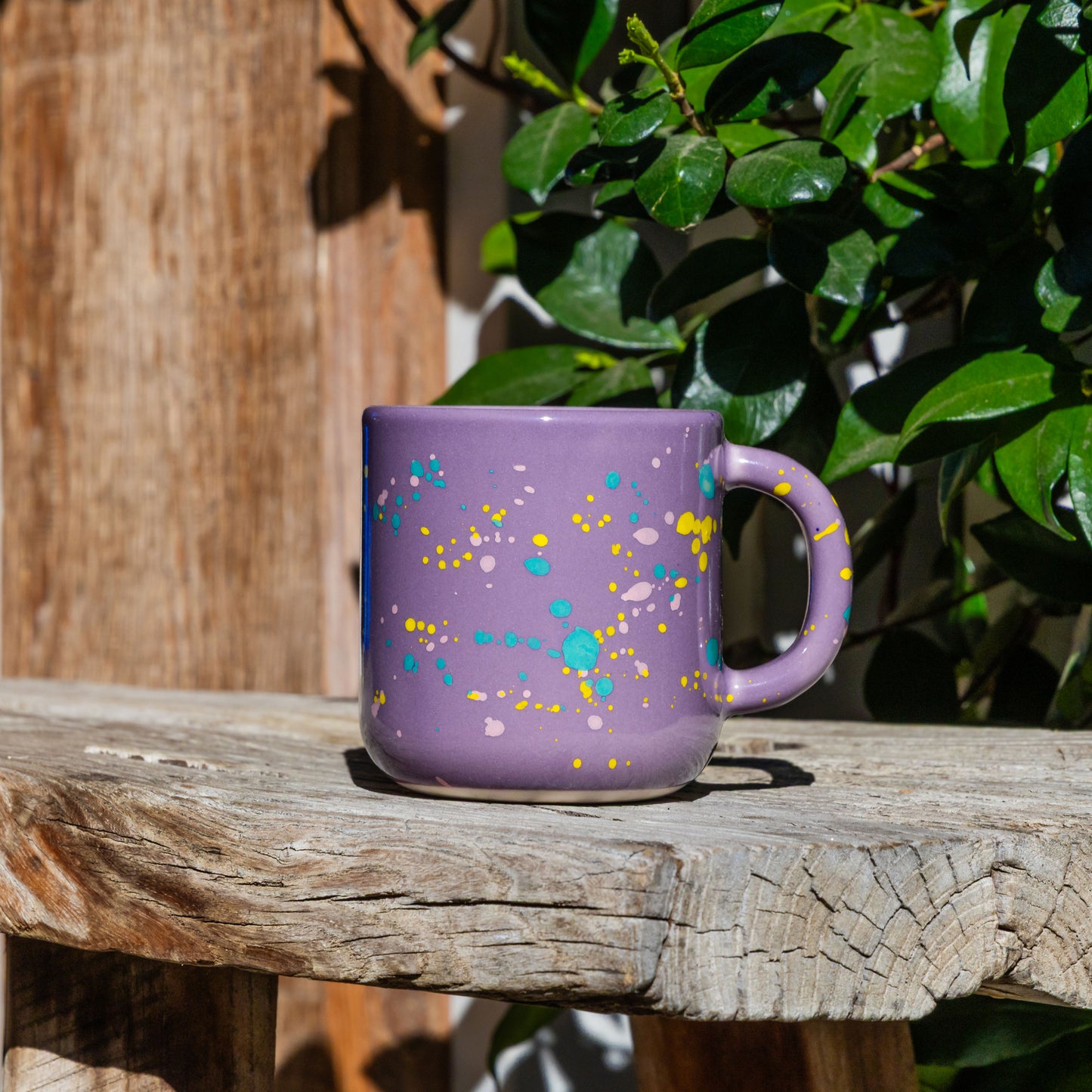Large Coffee Mug - 10 SPD x Felt + Fat