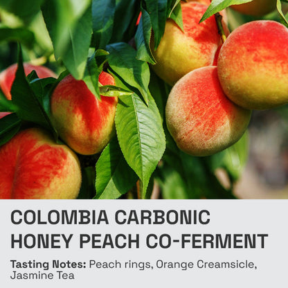 Colombia Carbonic Honey Peach Co-Ferment