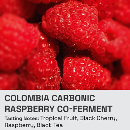 Colombia Carbonic Natural Raspberry Co-Ferment