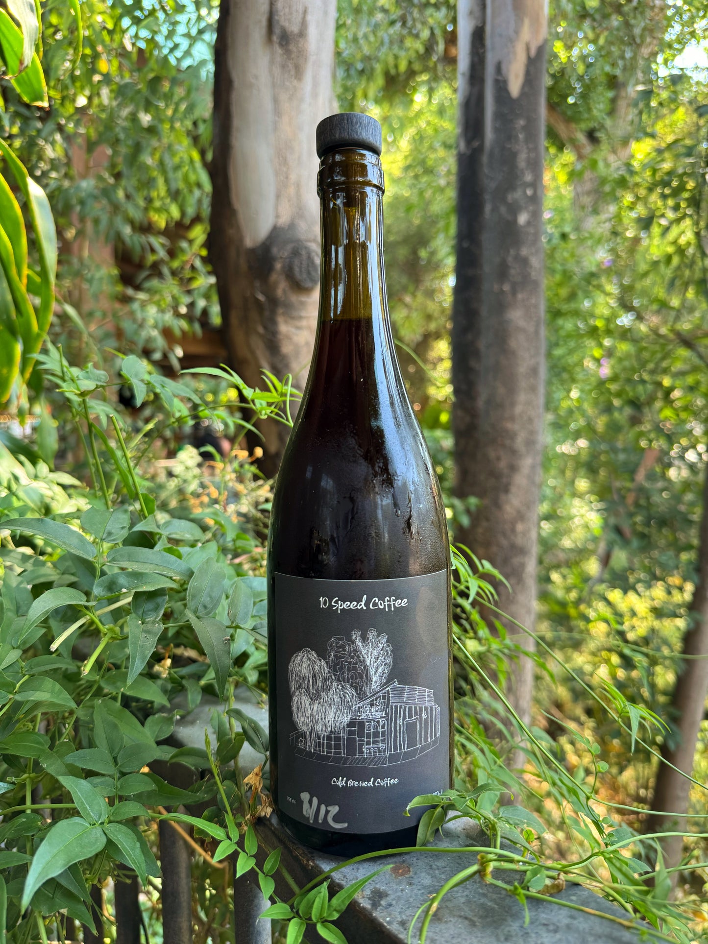 Cold-Brew Bottle